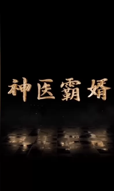 神医霸婿